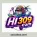 HI309 Game